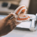 Dentist pointing with pen at dental implant using anatomical model of human jaw during consultation in dental clinic explaining to patient treatment procedure.